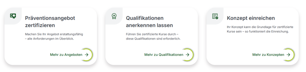 Screenshot mit drei Feldern zu Präventionsangebot, Qualifikation und Konzept einreichen